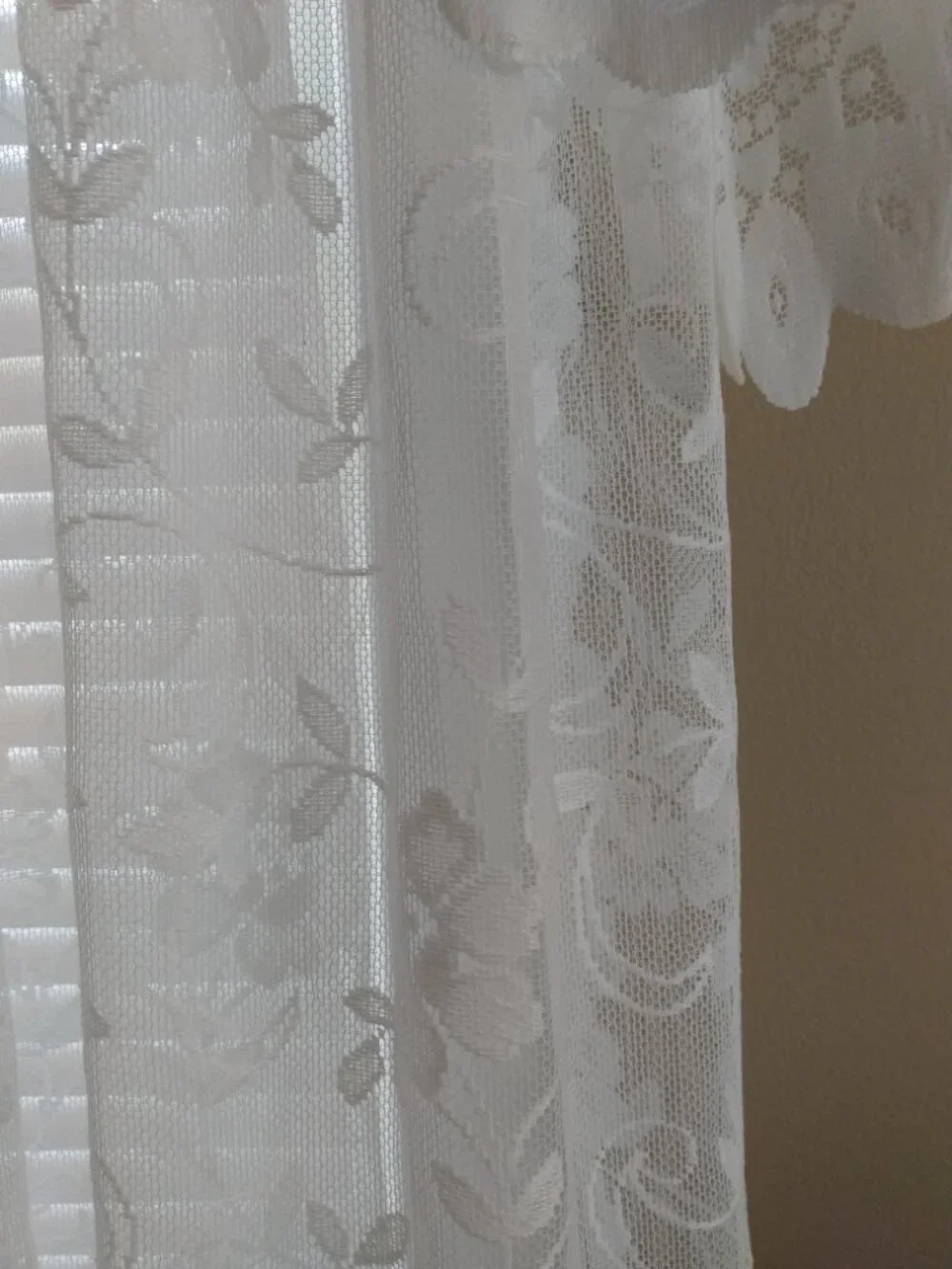 JCPenney's Shari lace curtains
